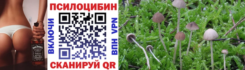 Псилоцибиновые грибы Magic Shrooms  кракен как войти  Берёзовский 